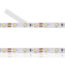 Banda LED 60SMD2835/M 6-7lm IP20 8mm x 50m ciepła 2Y-ro-electrice.ro